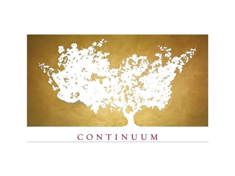 CONTINUUM WINERY logo